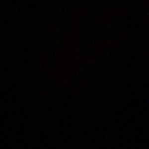 Meet your Posher, Eva